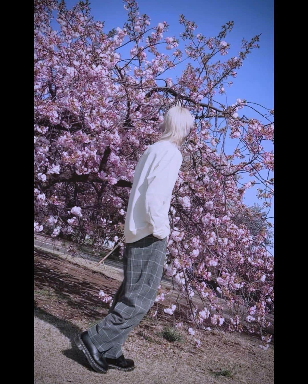 ゆきむら。のインスタグラム：「東京　桜」