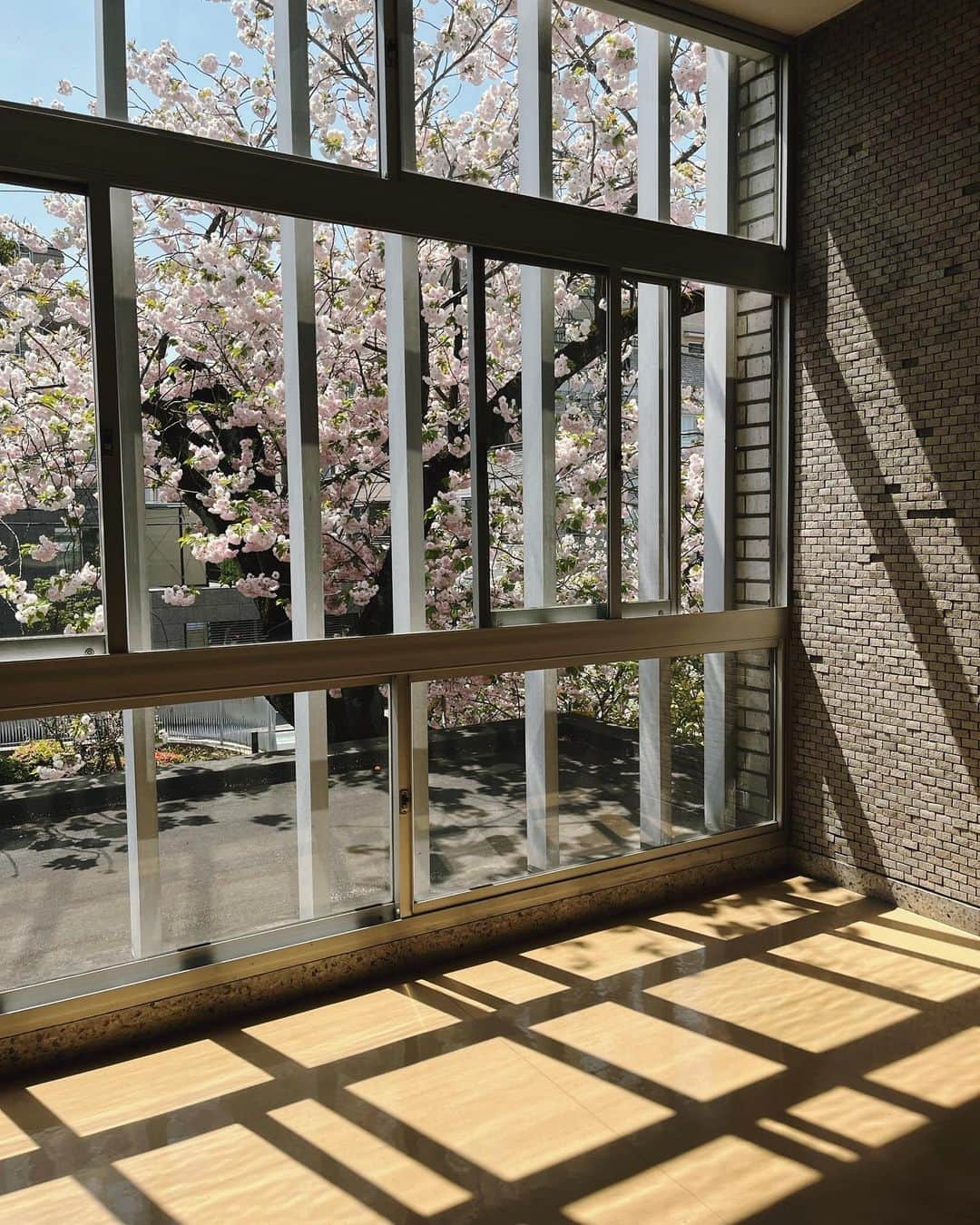 大田由香梨さんのインスタグラム写真 - (大田由香梨Instagram)「窓好🪟🪟🪟」4月15日 20時25分 - otayukari