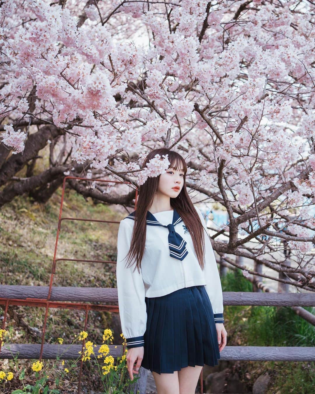 のインスタグラム：「ㅤㅤㅤㅤㅤㅤㅤㅤㅤㅤㅤㅤㅤ ㅤㅤㅤㅤㅤㅤㅤㅤㅤㅤㅤㅤㅤ ㅤㅤㅤㅤㅤㅤㅤㅤㅤㅤㅤㅤㅤ 桜part2.🌸 ㅤㅤㅤㅤㅤㅤㅤㅤㅤㅤㅤㅤㅤ ㅤㅤㅤㅤㅤㅤㅤㅤㅤㅤㅤㅤㅤ ㅤㅤㅤㅤㅤㅤㅤㅤㅤㅤㅤㅤㅤ ㅤㅤㅤㅤㅤㅤㅤㅤㅤㅤㅤㅤㅤ ㅤㅤㅤㅤㅤㅤㅤㅤㅤㅤㅤㅤㅤ  #桜 #さくら #東京桜 #桜フォト #撮影 #桜並木 #桜道 #ロングヘア #ポトレ女子 #その瞬間に物語を #何気ない瞬間を残したい #風景写真 #お花見 #instalike #like4likes #l4l #instagood #セーラー服 #ポートレート #sakura #攝影 #旅遊攝影 #拍攝 #寫真 #人像攝影 #拍照」