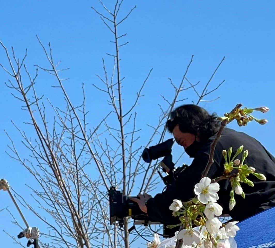 土屋太鳳さんのインスタグラム写真 - (土屋太鳳Instagram)「#木10 『 #やんごとなき一族 』 ロケ風景シリーズ✨ . カメラマンさんと桜🎥🌸 スタッフさんはいつでも本当にかっこいい✨ . カメラのレンズが捉えるものは いろいろなものがあると思うけれど 願わくば 心をあたためるものでありますよう。」4月15日 21時40分 - taotsuchiya_official