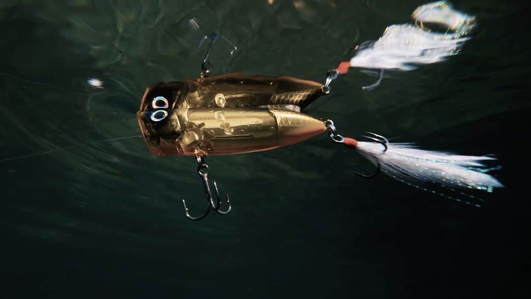 シマノ｜Fishingのインスタグラム：「Shimano’s revolutionary World Family of premium freshwater lures leverages industry-leading technologies to help anglers catch more and bigger bass.   The World Minnow and World Diver took the suspended bait game by storm as soon as they hit the market. In 2022, the World Family diversified with two exceptional new lures: the World Pop and World Crank.   Fortified with the same BOOST CONCEPT that permeates the World Minnow 115SP and World Diver 99SP, the World Pop 69F FB and World Crank 73F FB help anglers probe a much larger portion of the water column in their never-ending quest to trigger trophy-caliber bass.   #FishShimano #WorldLures #WorldPop #WorldMinnow #BassFishing #BassLures #LargemouthBass #Topwater #Jerkbait」