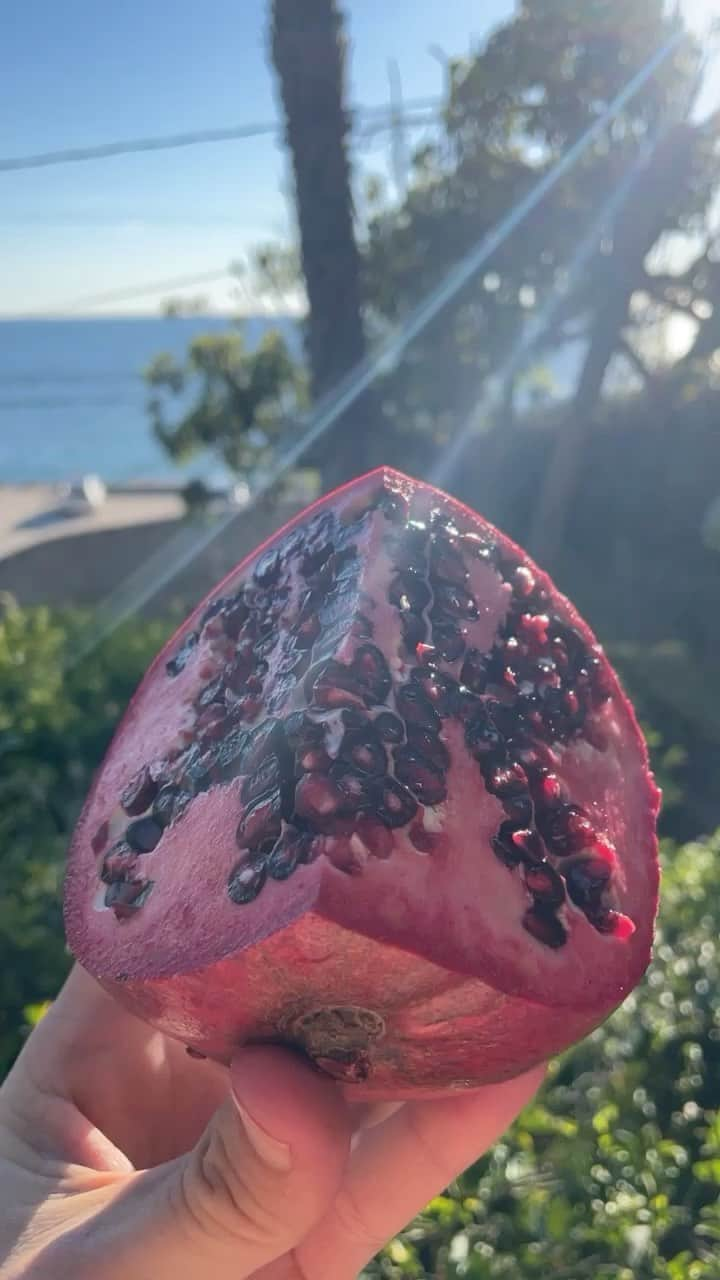 グロッサリーズのインスタグラム：「Pomegranate dye is derived from the rinds ~ not the fruit. It is critical that dye is sourced from post-consumer waste so that it does not take away from our food supply.⁠ The rinds are dried and converted to a powder for longer term storage.   Pomegranate is an important dye because it produces a dark gray color which is typically hard to achieve using only plants.」