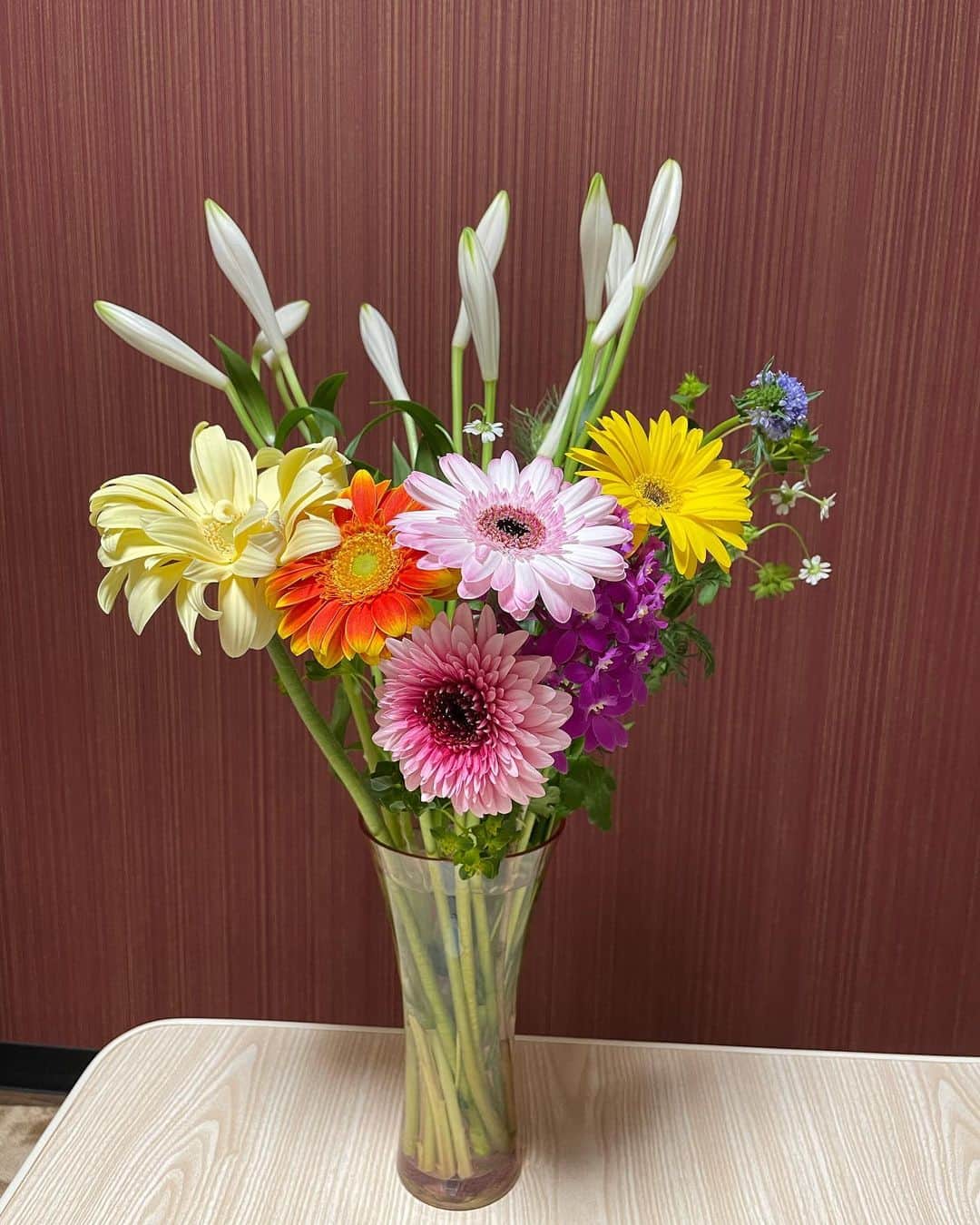 東條麻依子さんのインスタグラム写真 - (東條麻依子Instagram)「大学時代の友達からお花が届きました💐 カラフルなガーベラたち。 色も形も全然違って可愛いですよね。花言葉は前向き、希望だそうです✨ 部屋がぱっと明るくなりました♡ 友達に感謝です😌」4月16日 0時34分 - maiko_tojo