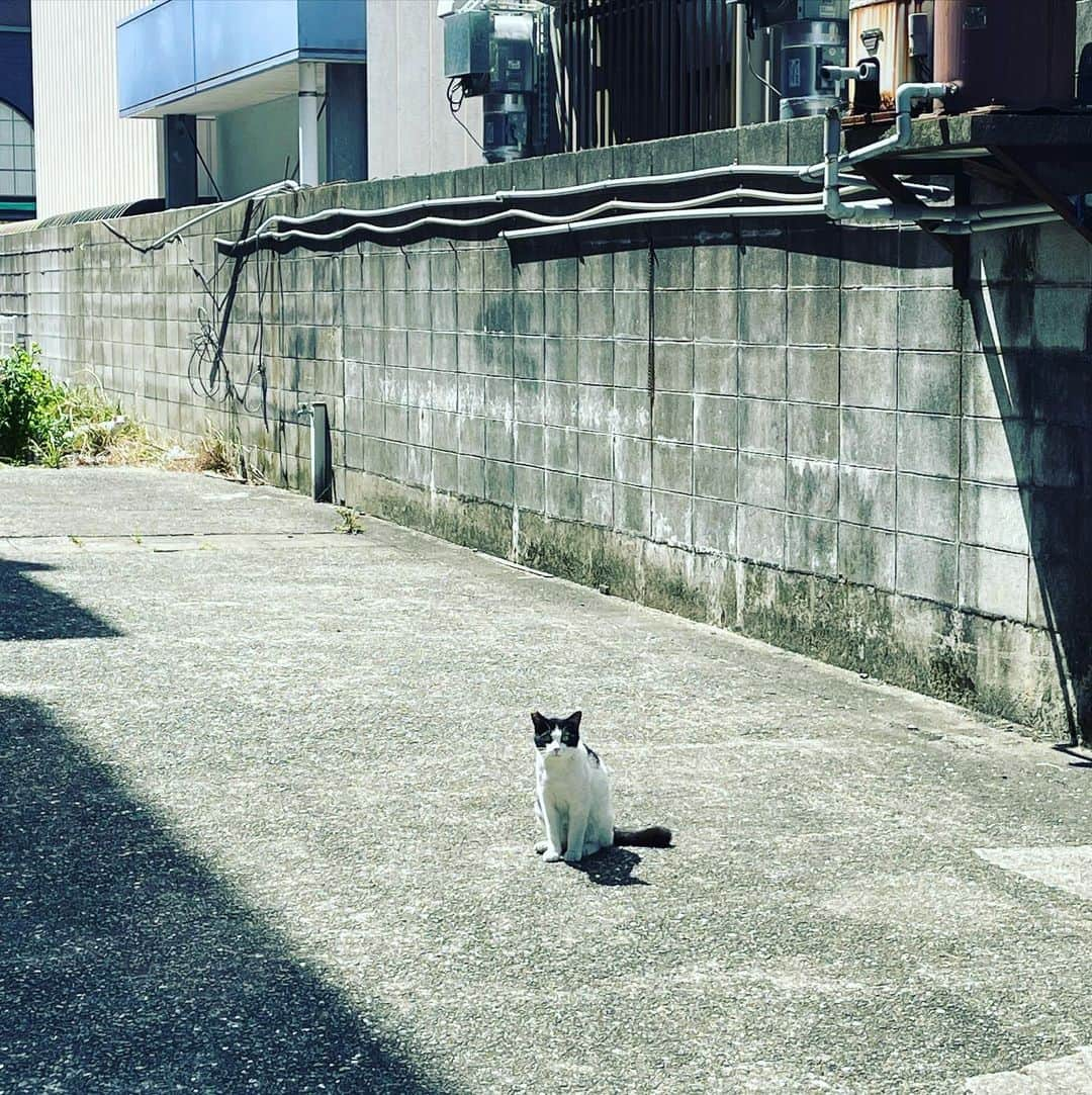 堀内敬子のインスタグラム