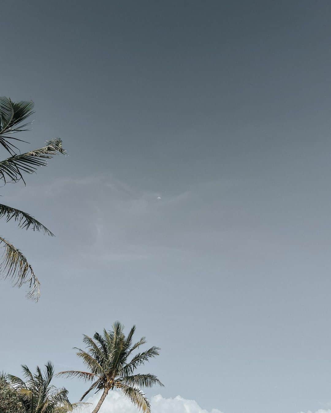 のインスタグラム：「🌴☽🚿 みんなGW楽しんでる?!♡ 私はゆ～っくりな時間を過してます🫧🤍」