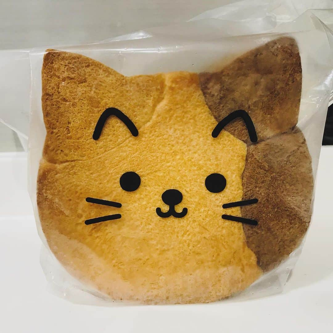 大沢あかねさんのインスタグラム写真 - (大沢あかねInstagram)「最近の手作りパン活🍞🥐🥖  キッズ達にも大好評のちぎりパン ちぎりパンを作り始めた頃は、 型がなくて牛乳パックで作ってました😂 （４枚目）牛乳パック　スクエア型で検索してね！  ココアちぎりパンも少しビターで美味しいです💕（２枚目）  ５枚目は生クリーム食パン🍞 少しカロリーが気になりますが、生地がしっとりですごく美味しいです☺️✨ ７枚目は、よくコロナ前はプレゼントすると喜んでくださる猫😻パンです❣️ キッズ達も見た目でテンション上がってくれます🎉  今日は、昨日収穫した🍋で ケーキを作ってます🥰 また、アップしますね！」5月1日 11時28分 - oosawa_akane.official