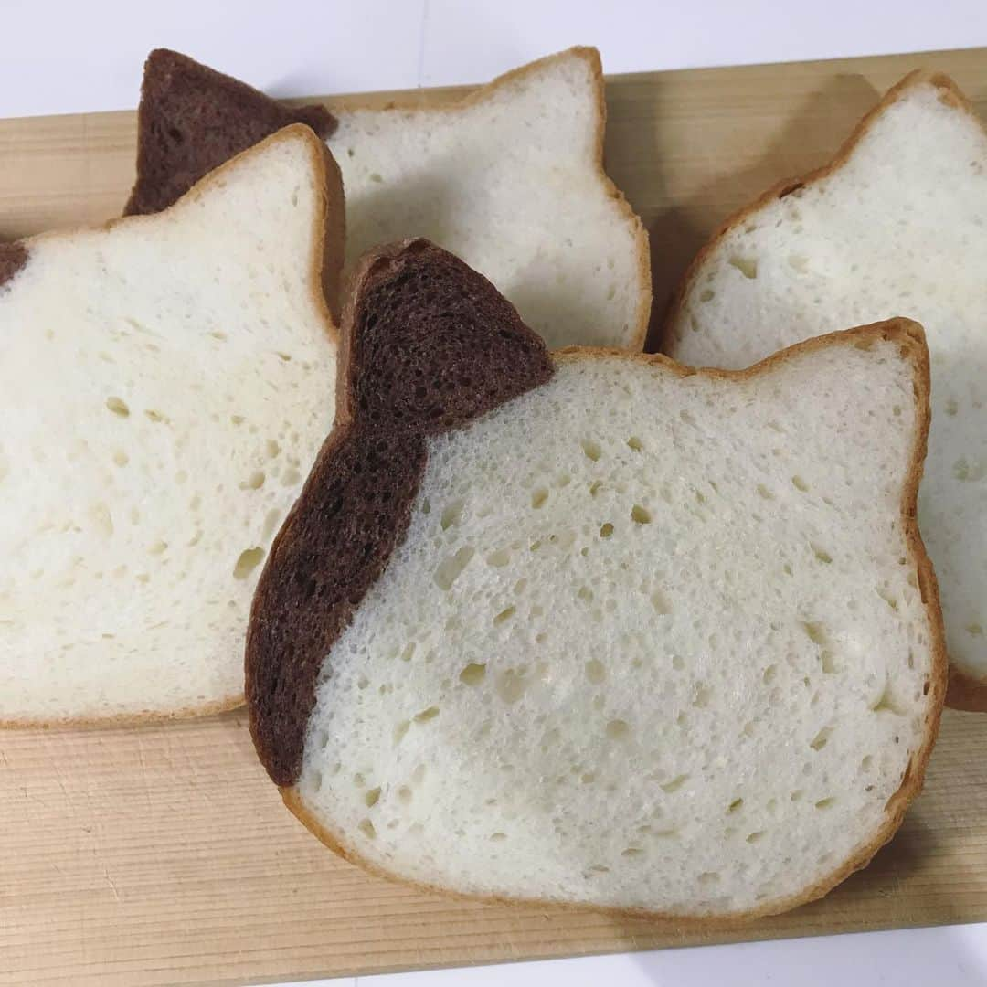 大沢あかねさんのインスタグラム写真 - (大沢あかねInstagram)「最近の手作りパン活🍞🥐🥖  キッズ達にも大好評のちぎりパン ちぎりパンを作り始めた頃は、 型がなくて牛乳パックで作ってました😂 （４枚目）牛乳パック　スクエア型で検索してね！  ココアちぎりパンも少しビターで美味しいです💕（２枚目）  ５枚目は生クリーム食パン🍞 少しカロリーが気になりますが、生地がしっとりですごく美味しいです☺️✨ ７枚目は、よくコロナ前はプレゼントすると喜んでくださる猫😻パンです❣️ キッズ達も見た目でテンション上がってくれます🎉  今日は、昨日収穫した🍋で ケーキを作ってます🥰 また、アップしますね！」5月1日 11時28分 - oosawa_akane.official