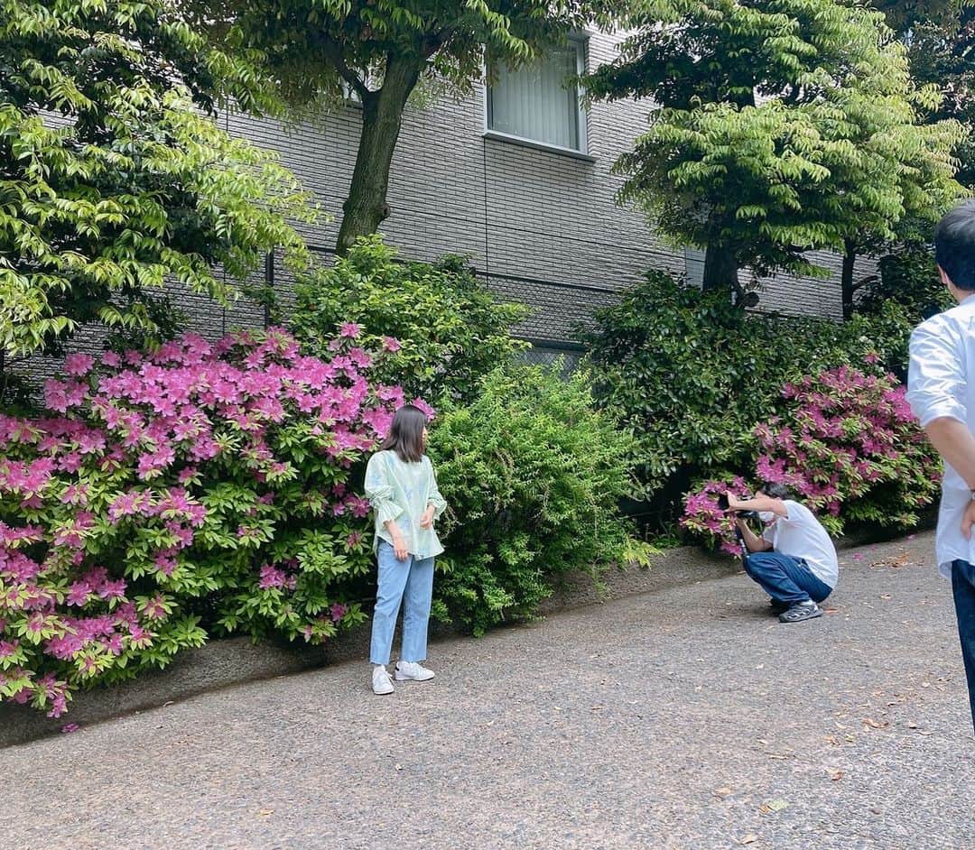 小野真弓さんのインスタグラム写真 - (小野真弓Instagram)「おはようございます😆☁️🌸 ハルくんです🐶🐾  おり様、、 復活宣言＼(^ω^)／✨  とうとう、膵炎をやっつけてやったのだ😤 三週間、、 長いたたかいだったぜぇ、、😞  みなちゃま、 応援してくれてありがとう😢💓  おかーさん！！！ ぼくの3週間分のご飯を〜 全部くれ😋一気に食べてやるのだ😤 あさんぽも連れてってやるよ🍀  おり様についてくるのだーーー わんわわーん😆🐾  #チワマル#ハルくん #復活#膵炎#体力回復がんばろね #ご飯も少しづつね #気持ちだけは完全復活#大騒ぎ #リハビリ期間 🐾 #チワワ#ハナちゃん#のんびりシニア犬 #雑種猫兄妹#アオナナ #お泊まりにゃんこ#ちりんくん #庭#白薔薇#あさんぽ #お仕事かーさん#取材 🌸🌼🌺 どこに行ってもお花が綺麗✨ カラフルな季節(*´꒳`*) 我が家は白薔薇満開です☺️」5月1日 6時43分 - hanaharuaroi