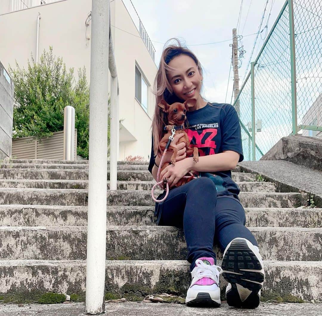 AILIのインスタグラム：「4月の頭から我が家にお泊まり中の 友人ファミリー @jamosa148 の愛犬Star P ♀9歳 🐕  もはや別宅のように何度もお泊まりに来てくれているので すっかり慣れてるスターピーは、最近夜になるとそろそろ寝ない？と寝室に誘ってきます😂  私のInstagram、特にストーリーをいつも見てくれている皆さんにはスターピーの登場も定番になってきていますよね😆✨  彼女が🐕我が家にいる間は私のストーリーはスターピーで埋まり、最近アイリのストーリーお散歩ばかりだね。 と皆に言われます。笑　へへ。  そんなスターピー、あと数日でJamo家のパパがお迎えに来るのでまたしばしのお別れ😭  さみしくなるなぁーーー😭  #miniturepinscher #ミニチュアピンシャー #ミニピン」