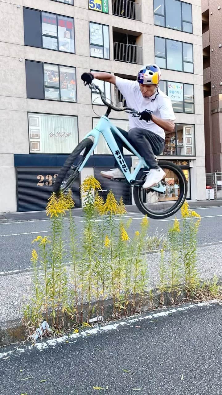 レッドブルのインスタグラム