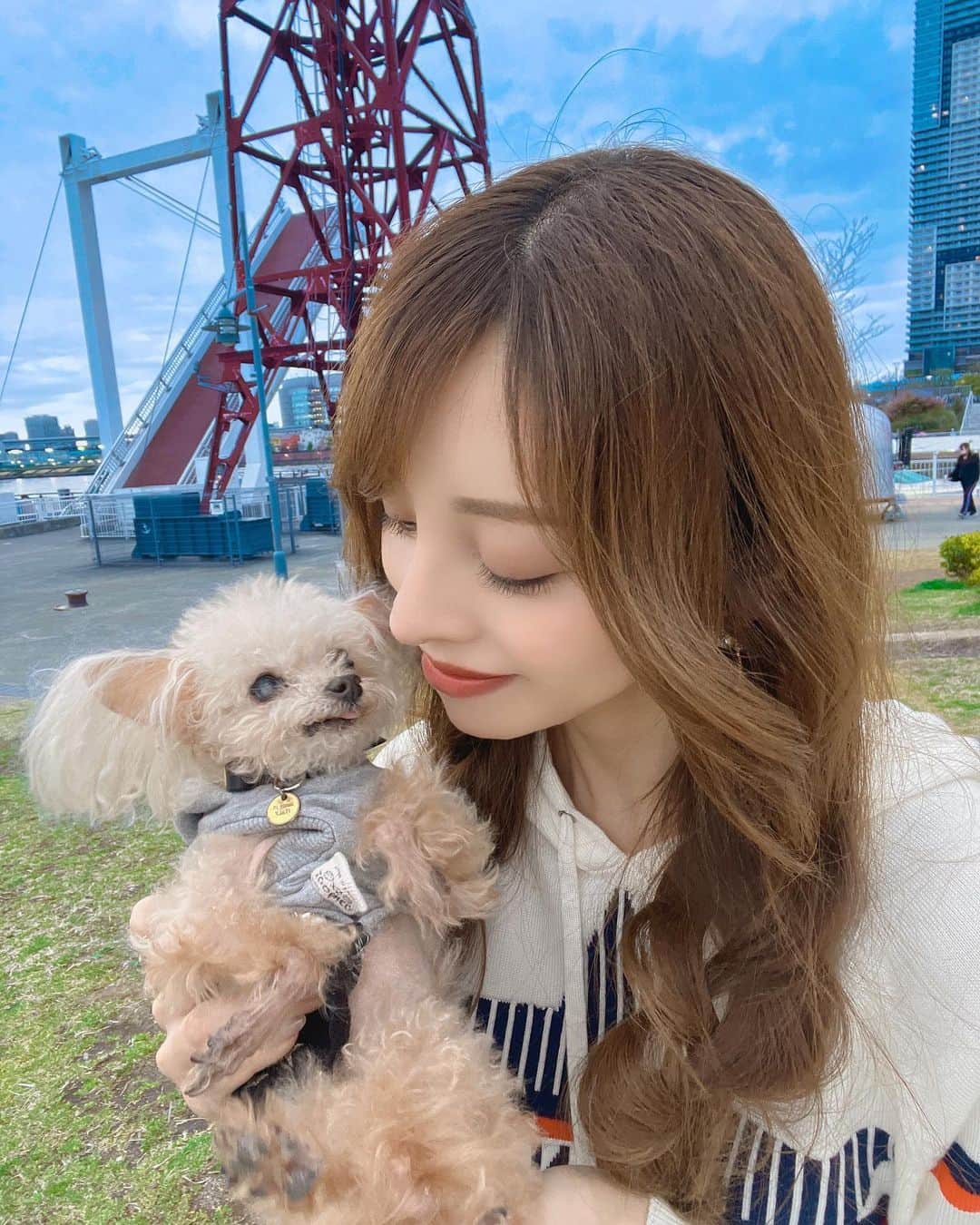 大迫麗香のインスタグラム：「可愛い愛娘🐶✨ 私が25歳の時から一緒にいます✨ うちに来た時はまだ700gしかなくてティッシュ箱に隠れるぐらい🤣 あまりの小ささに扱いが怖かった それからずーっと一緒☺️ すごく良い子で吠えないし、噛まない 犬が嫌いでイケメンが大好き🤣 おやつが大好きで、 顔も性格もすごく似ていてそっくりとよく言われてた 私のところに来てくれて本当にありがとう☺️✨ 幸せをありがとう✨  #ベストボディ #プライベートジム  #美ボディ #トレーニングウェア #美ボディコンテスト #ベストボディジャパン  #腹筋女子 #bikinifitness  #コンテスト  #美ボディ #恵比寿ジム #子連れok #産後トレーニング #ブーティビルダー #子連れフィットネス #食事管理  #ベストボディへの道 #ボディメイク女子 #犬　#闘病中 #ティーカッププードル」