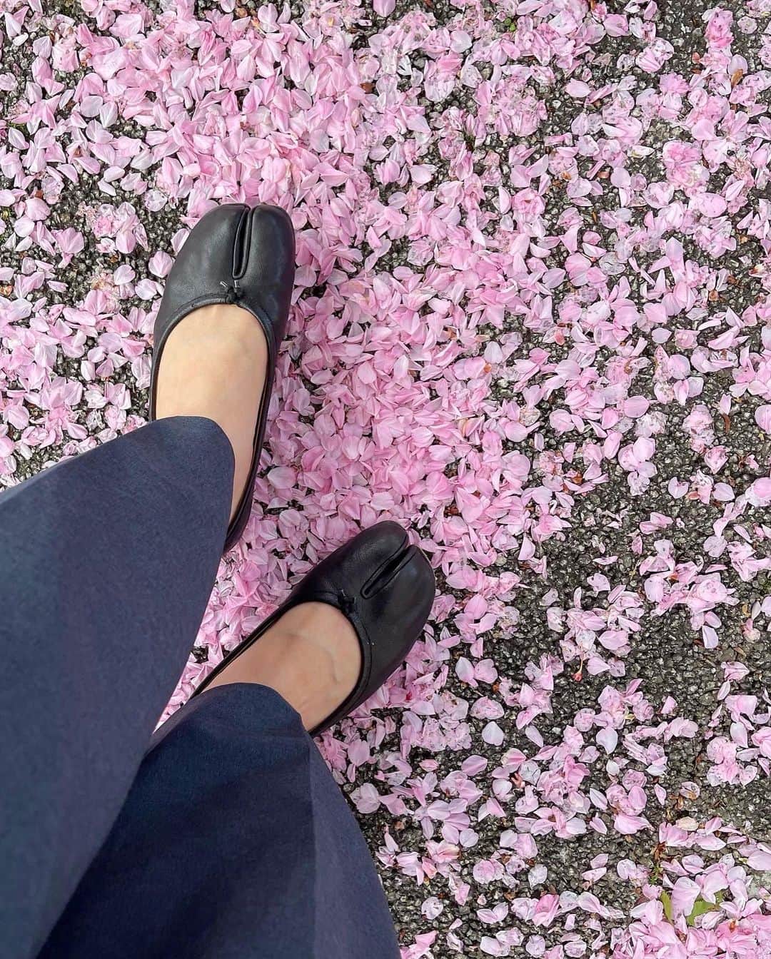 衛藤美彩のインスタグラム：「⁡ ⁡ 今日の 息子とのお散歩中の出来事🌸 ⁡ もう木に桜がなくなっちゃって寂しいね。 でも、この緑の葉っぱも綺麗だね。 これから雨が沢山降って、 紫陽花やかたつむりさんが出てきて その後に、あつーいあつーい夏が来るよ。 また桜に会えるのは来年だから 楽しみに待っていようねってお話しをして。 ⁡ そんな息子が今日、 私が話しかけた 絶妙なタイミングで まるで会話の中身が分かっているかのように これまでにない特大級の最高な笑顔を見せてくれて。 息子ニッコニコで、こちらは大号泣😂 ⁡ 赤ちゃんはまだ会話はできないけど ちゃんと、全部聞いているし分かってると思う。 だから内容が理解できないことでも 毎日毎日話しかけていたから これはほんっとに嬉しい出来事でした。 ⁡ もっと大きくなって、早く公園で遊びたい！ 晴れの日はお弁当作って公園にテント張って 雨の日はレインコートを来て雨靴を履いて あめんぼやカタツムリの探検に出て... 想像しただけでワクワクする！ ⁡ 早く喋ってほしい 早く一緒に色々なところに行きたい 早く、早くって思っちゃうけど。笑 今この瞬間にしかない成長を しっかり目に焼き付けていきたいと思います😊⁡ ⁡ ⁡ ⁡ ⁡」