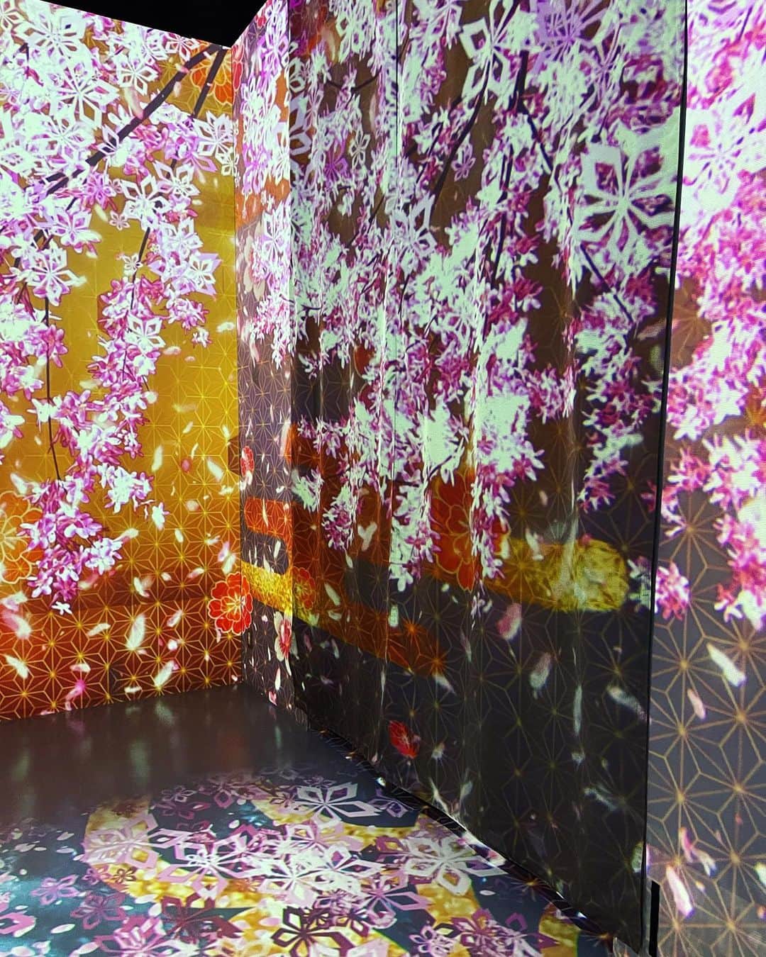 中矢邦子さんのインスタグラム写真 - (中矢邦子Instagram)「・ イカルショーを観て、感動...！！😢  あすまで、水族館は桜仕様だそう。 おでかけにいかがでしょうか✨  #アクアパーク品川 #イルカショー #お花見 #遊園地 のようだった」4月16日 20時18分 - kuniko_nakaya