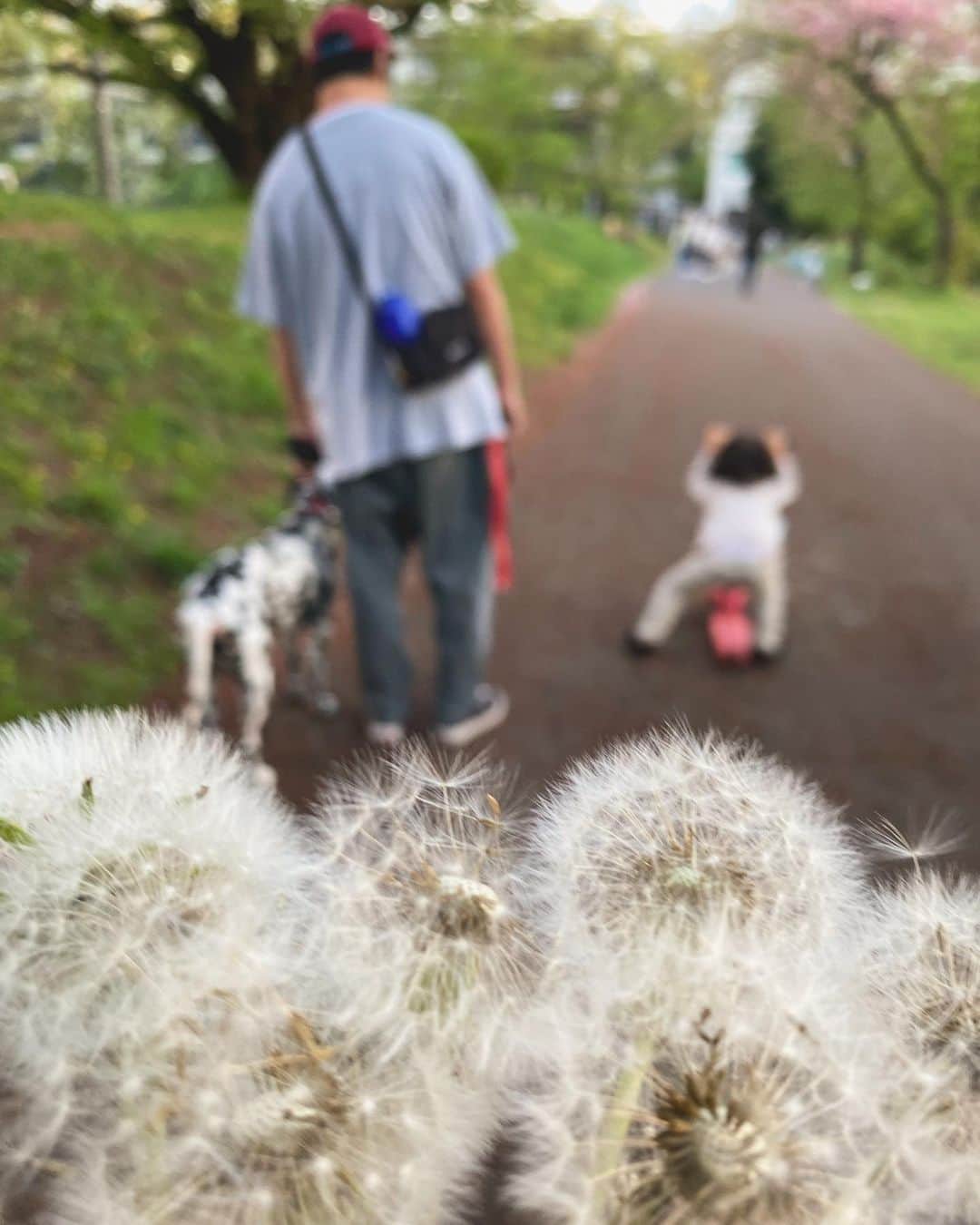 YOPPYのインスタグラム：「. 先週 整形外科　と　形成外科 の違いを初めて知りました  整形外科でも首から上は診ておりませんって病院がある事も知らなかった  娘は鼻を強く打ってしまいた  子育て中の　ファビラスオカン達の中でも知らなかったって人も居るだろうからここに報告  鼻を強く打って鼻血がたくさん出たら 形成外科に行き　CT をなどの検査が必要  整形外科ではレントゲンは撮れる　しかし形成外科が良いのでは？と言われました  知らないことだらけですが これから　勉強です」