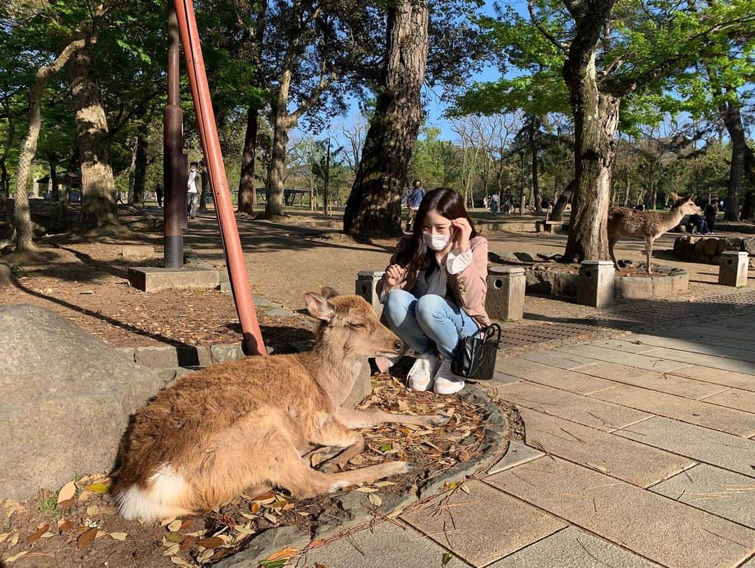 武井紗良さんのインスタグラム写真 - (武井紗良Instagram)「🌟」4月17日 1時29分 - sweets_sweetss