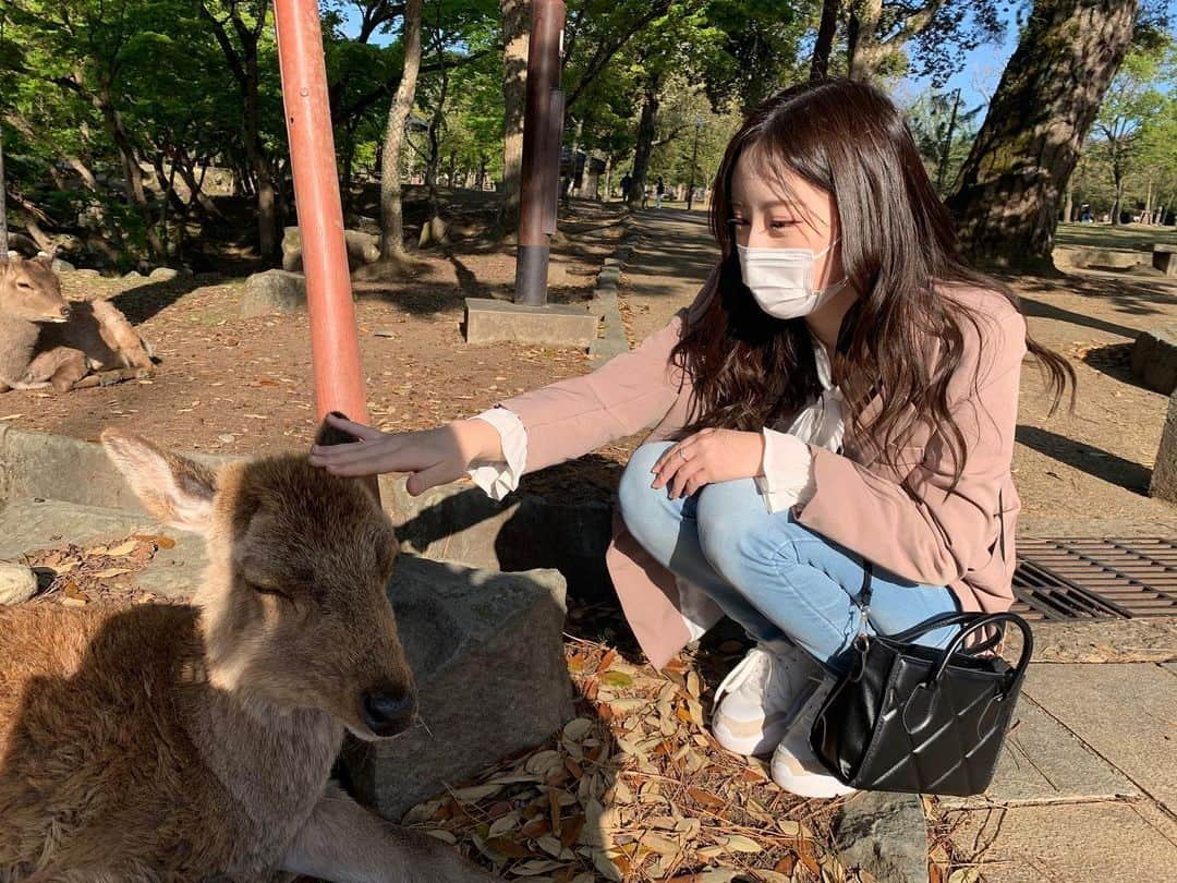 武井紗良のインスタグラム：「🌟」