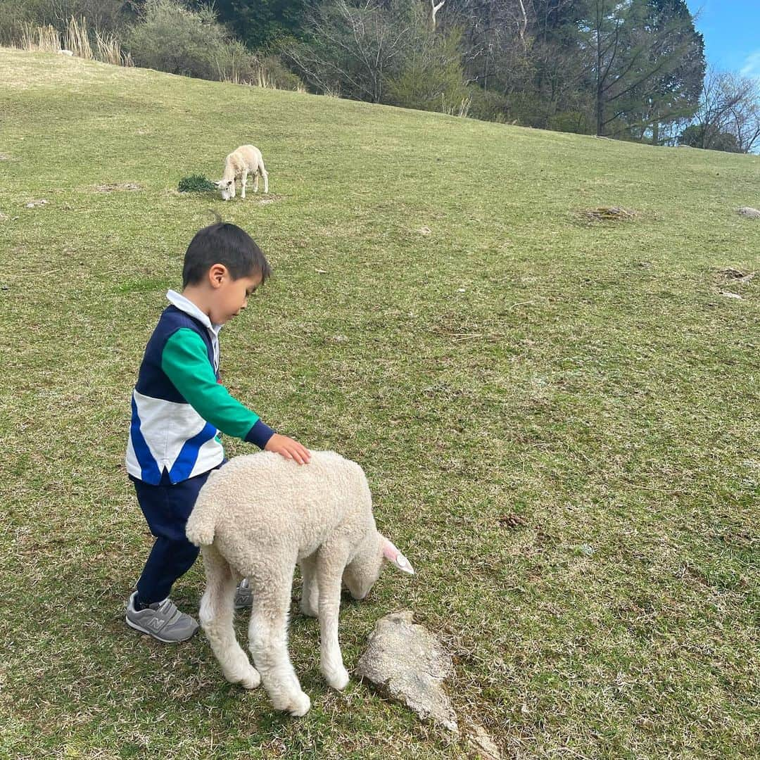 小川ひとみさんのインスタグラム写真 - (小川ひとみInstagram)「今日は六甲山牧場へ🐮 お天気もすごく良かった✨ 友人家族と楽しく過ごせて 充実した日曜日になりました🥰  knit/ @seventenbymihokawahito  bottoms/ @zara  sandal/ @rogervivier  bag/ @jnhearts   Bag、新しいデザインの"Garden Middle" "Garden"より少し小さめのサイズが登場します🌷 このお色は"Lemon"🍋 #sunday」4月17日 20時41分 - hitomy220