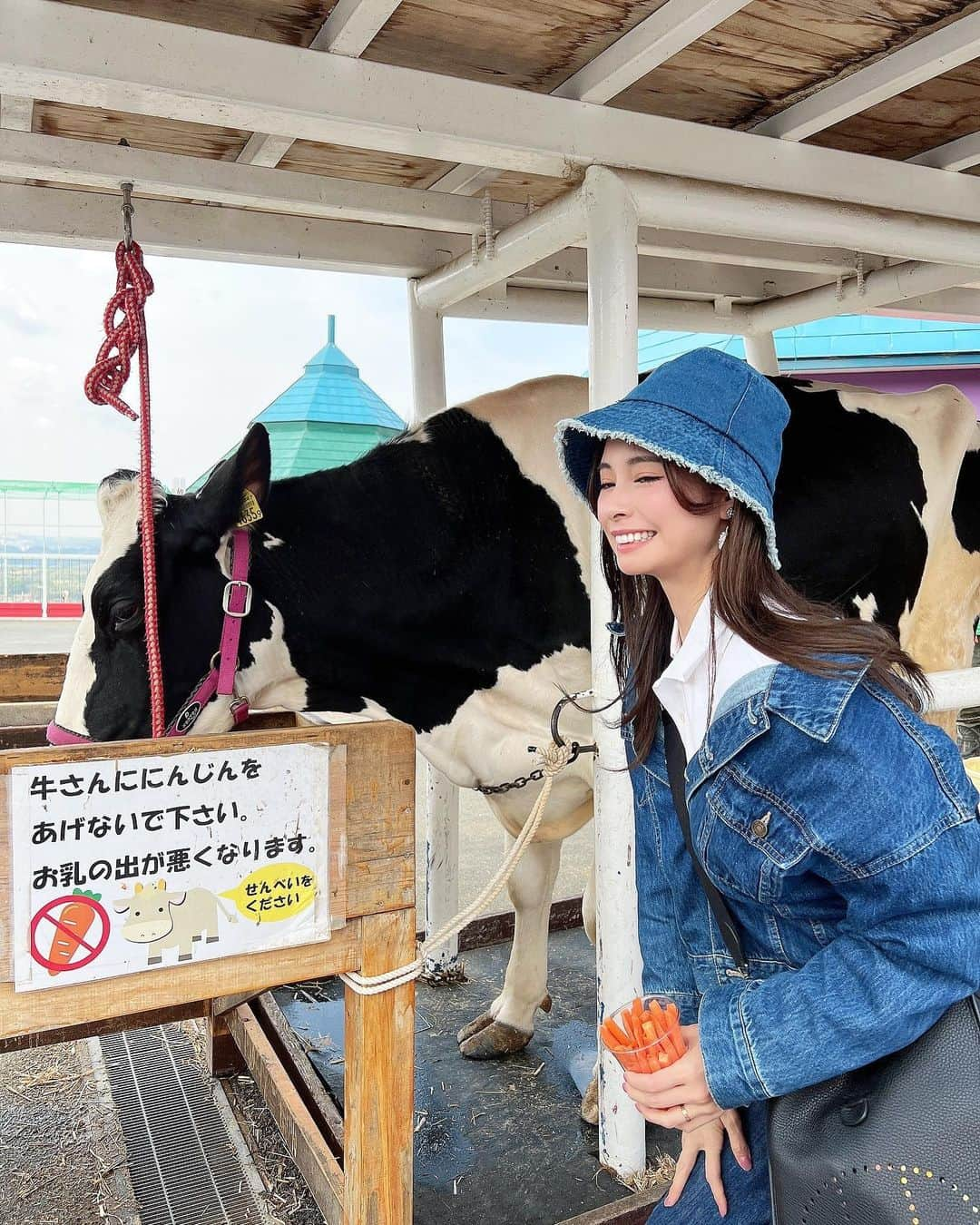 得あゆさんのインスタグラム写真 - (得あゆInstagram)「ワールド牧場🐴🥕🐮 GWおすすめスポット  …最後の動画ストーリーに載せてたやつ。笑う 子供も大人も楽しむが、1番です！！！❤️  ・ ・ ・ ・ ・ ・ ・ ・ ・ ・ ・ ・ #ワールド牧場#牧場#餌やり#動物#動物園 #飼育#牛#馬#にんじん#デニム#デニムコーデ#デニムジャケット#デニムワンピース#ママコーデ#ママファッション#セットアップ#子育てママ#大人カジュアル#バケットハット#denimjacket#denimondenim#ドライブ#休日#スニーカー女子#男の子ママ#休日の過ごし方#gw#ゴールデンウィーク#ママライフ#おもしろ動画」4月17日 21時23分 - tokuayu819