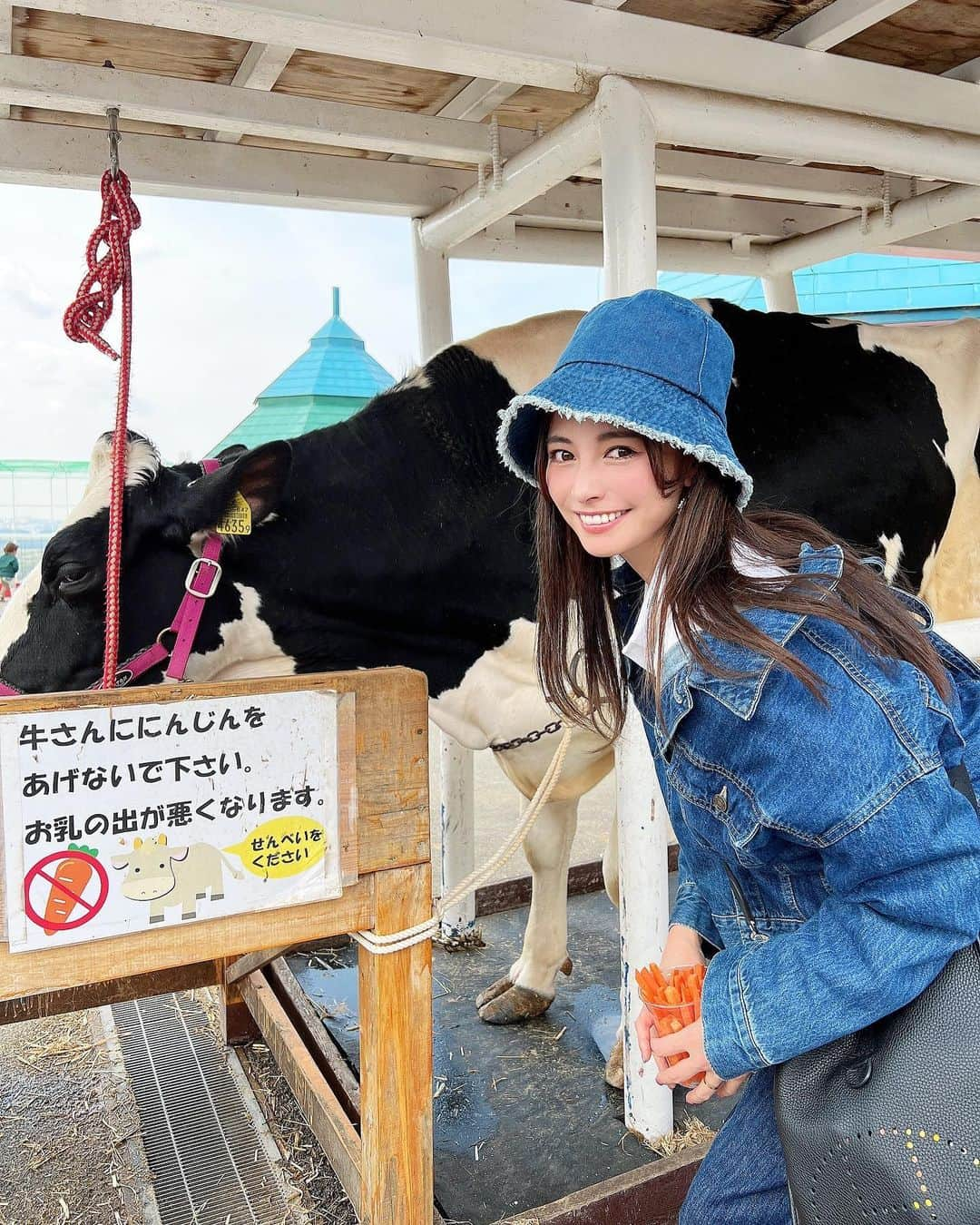 得あゆさんのインスタグラム写真 - (得あゆInstagram)「ワールド牧場🐴🥕🐮 GWおすすめスポット  …最後の動画ストーリーに載せてたやつ。笑う 子供も大人も楽しむが、1番です！！！❤️  ・ ・ ・ ・ ・ ・ ・ ・ ・ ・ ・ ・ #ワールド牧場#牧場#餌やり#動物#動物園 #飼育#牛#馬#にんじん#デニム#デニムコーデ#デニムジャケット#デニムワンピース#ママコーデ#ママファッション#セットアップ#子育てママ#大人カジュアル#バケットハット#denimjacket#denimondenim#ドライブ#休日#スニーカー女子#男の子ママ#休日の過ごし方#gw#ゴールデンウィーク#ママライフ#おもしろ動画」4月17日 21時23分 - tokuayu819