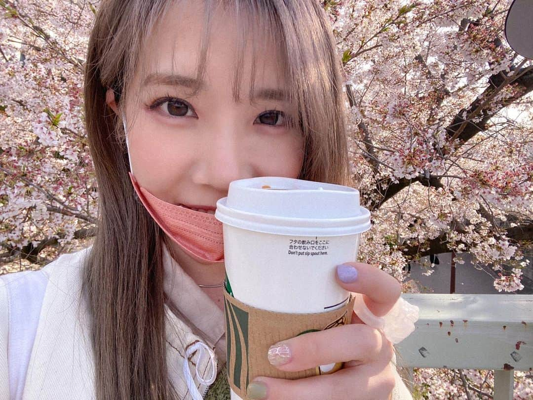 沙夜香さんのインスタグラム写真 - (沙夜香Instagram)「Cherry Blossoms...!  #既に桜が恋しい」4月17日 16時07分 - sayaka_512