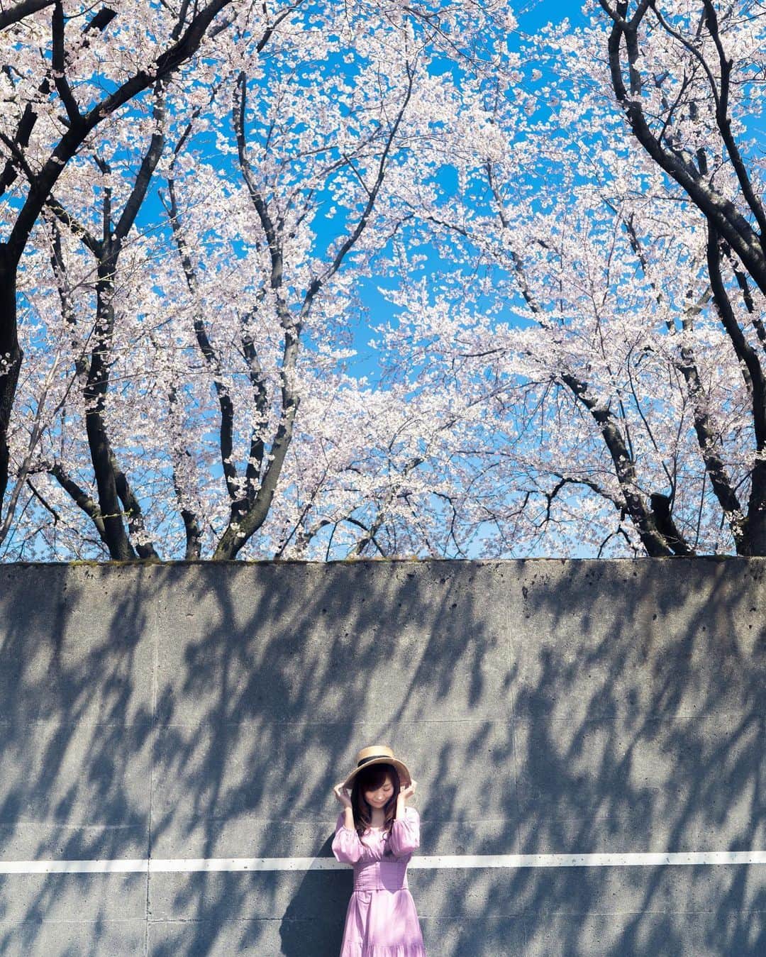TAKI Modのインスタグラム：「. . Sakura🌸 . . 今年も桜を撮らずに終わりそうです💦 . . 【location : Niigata , Japan 】 . . follow☞@team_jp tag ☞#team_jp_ ←最後の_忘れず . . . .  #portrait#ポートレート  #RECO_ig  #igersjp#IG_phos #写真好きな人と繋がりたい#その瞬間に物語を#スクリーンに恋して#genic_japan genic_mag #pasha_magazine @FUJIFILMjp_x  @FUJIFILM_xseries」