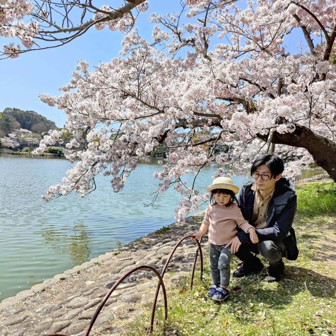 伊藤 慎さんのインスタグラム写真 - (伊藤 慎Instagram)「育児も制作活動？ 子供の成長の喜びと、子育ての大変さの学び。それも自分を形作る要素だとしたら、これも制作の一部と考えるようにしてます。  働きながらの子育ては大変。仕事もテンポ良く進まないって話をすると、？マークの表情をされる事が少なく無い気がします。  パパは仕事多め、たまに育児と家事。ママは子育て家事多めで、仕事はパート。それが普通な時代が長かったせいもあるように思います。  我が家は夫婦ともにフルタイムワーク、私自身もガッツリ育児と家事もほぼ半分担当です。  全自動洗濯乾燥機と食洗機などの機械化や、食材の作り置き冷凍、数々の時短テクニックで戦場をギリギリ凌いでます。  泣く、飛び回る、ご飯をぶちまける、おもちゃの電子音、突然の病気、毎日戦いです。 イヤーマフで減音、食べこぼしや掃除で手が荒れるので使い捨てのゴム手袋着用。そこまで努力して2歳児の全部受け止めてます。  介護の仕事もきっと大変なんだなぁと、感じる日々です。  子供が寝た後、ヘトヘトになってからも仕事が残ってたりもします。  ここ数年は制作はスローペースになってしまいますが、見守って頂ければ助かります！  #明石公園 #神戸」4月17日 22時20分 - shinito.pottery