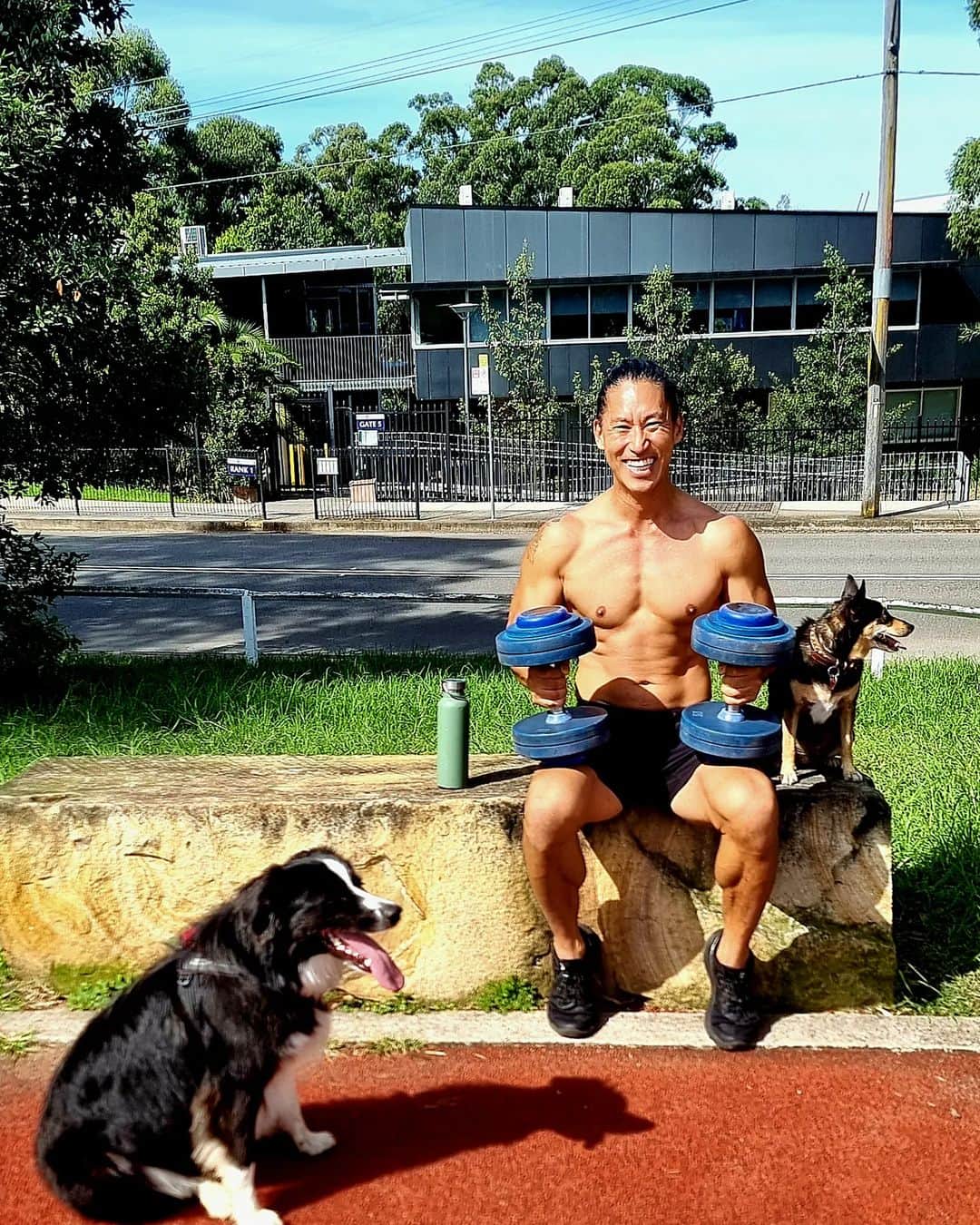 マサ・ヤマグチのインスタグラム：「What else is there to do on a sunny day off? 🌞   #vitamind #sunny #longweekend #mydogs #bodercollie #rescuedog #exercise #actor #stuntman #action #withmylove」