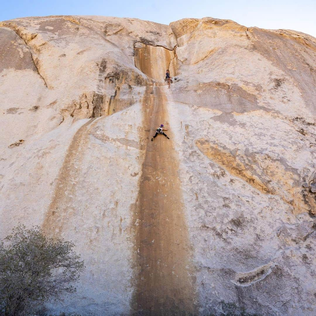 松島エミさんのインスタグラム写真 - (松島エミInstagram)「Solid Gold - JTree   Ph @hytshin   . . . #climbing#rockclimbing#girlswhoclimb #ジョシュツリー#クライミング#クライミング女子#tradclimbing#shemovesmountains #ladycrushcrew」4月18日 11時08分 - emimatsushima