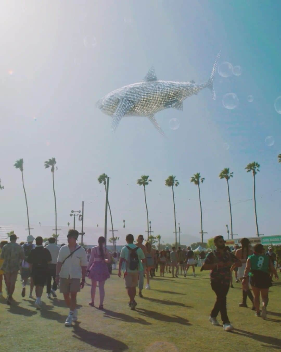 コーチェラのインスタグラム：「Meet under the disco shark   🎥 @transition_ninja + @jacksonsvisuals 🎶 @sohmi_」