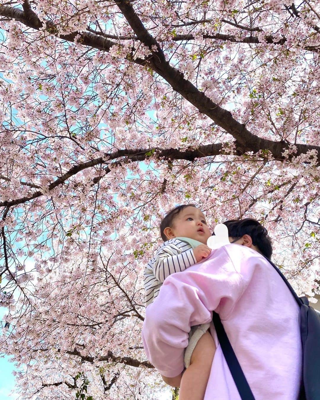 ハミ のインスタグラム