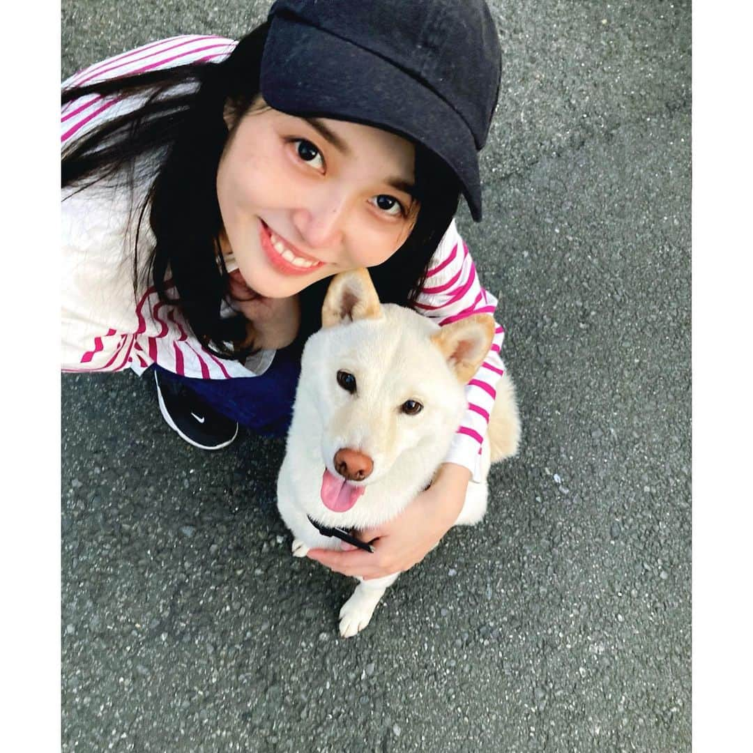 安島萌さんのインスタグラム写真 - (安島萌Instagram)「笑顔がすてきな犬🐕 口角上げのお手本🐕  #柴犬#豆柴#柴犬がいる暮らし #柴犬ライフ#白柴#白柴犬 #白豆柴#ボーダートップス #ボーダーコーデ #柴犬のいる暮らし」4月18日 11時26分 - ajima_moe