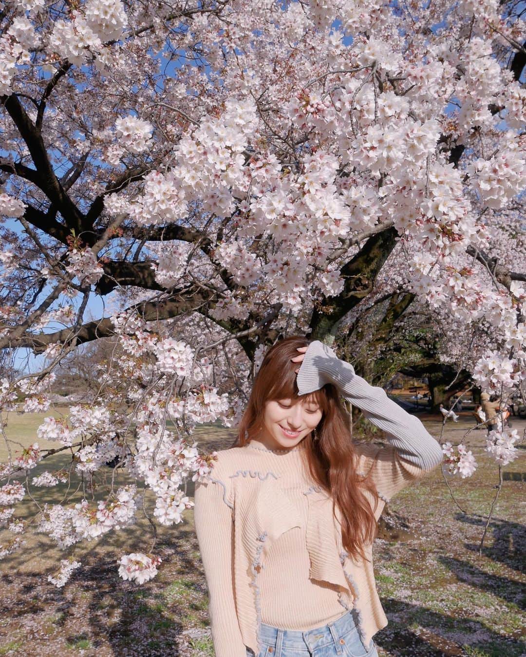 のインスタグラム：「🌸🌸🌸   #桜 #お花見 #新宿御苑 #ootd #fashion #kotohayokozawa #ca4la  #153cmコーデ」