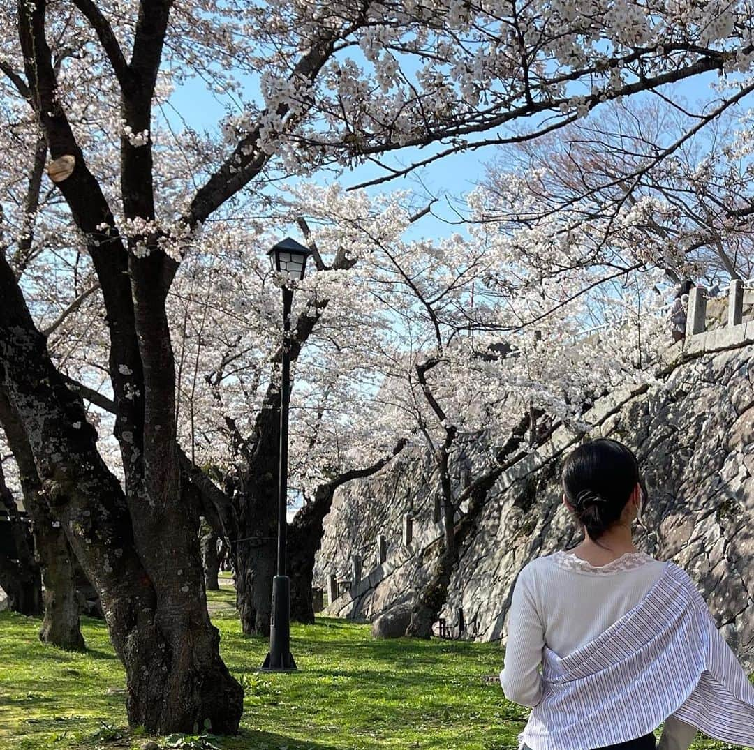 戸羽望実さんのインスタグラム写真 - (戸羽望実Instagram)「もう桜の咲く季節だね🌸私ももう高校2年生になりました。」4月18日 20時28分 - nozomi_toba0422_official