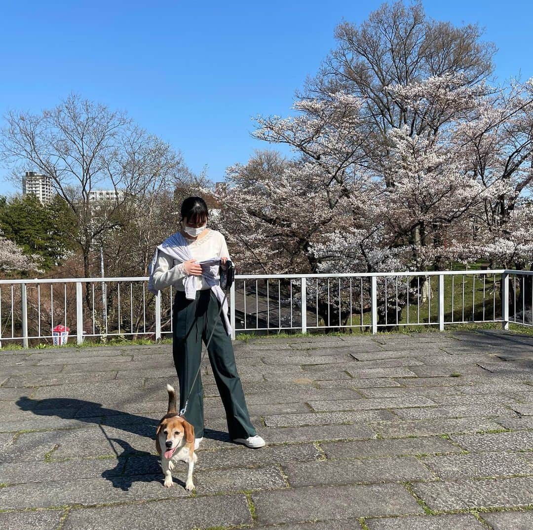戸羽望実さんのインスタグラム写真 - (戸羽望実Instagram)「もう桜の咲く季節だね🌸私ももう高校2年生になりました。」4月18日 20時28分 - nozomi_toba0422_official
