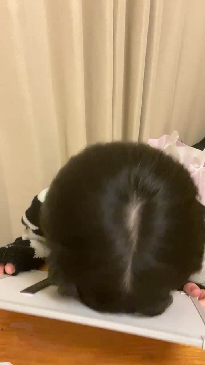 池田レイラのインスタグラム：「久々インスタライブです〜🥰🥰🥰」