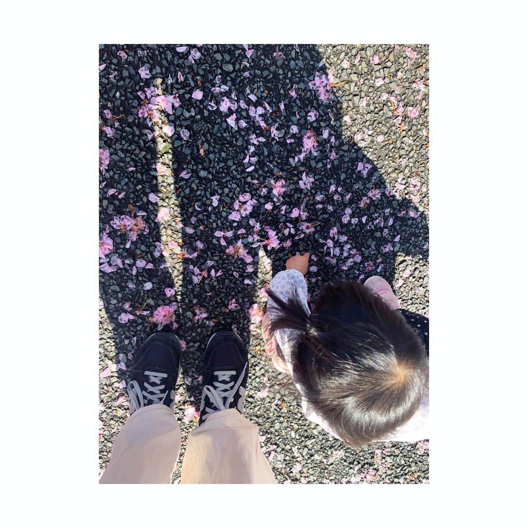 三倉茉奈さんのインスタグラム写真 - (三倉茉奈Instagram)「今日はぽかぽか。いい天気。 桜のピンクも綺麗。もこもこした八重桜。 #桜 #なかなか前に進まない」4月19日 10時49分 - mana_mikura_official