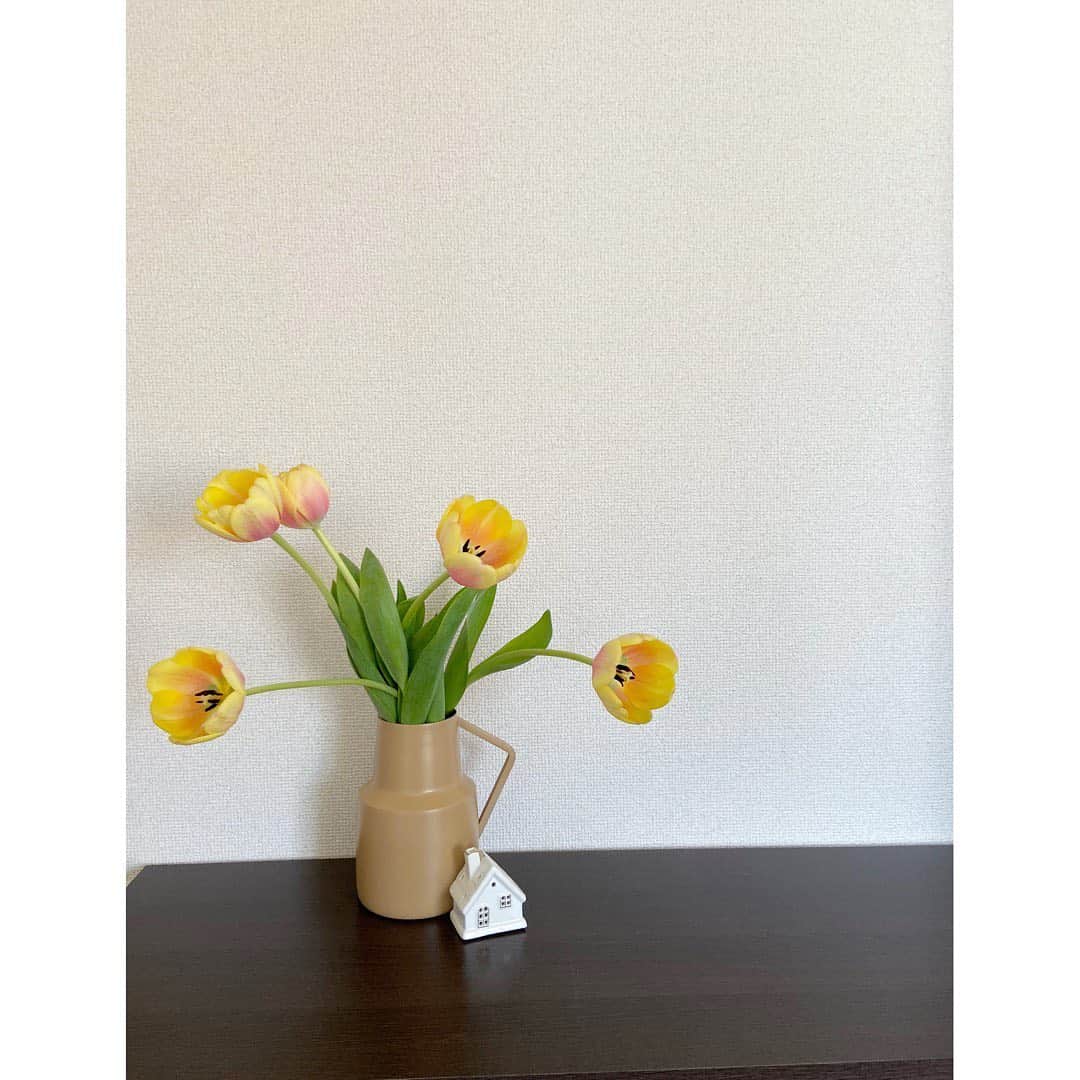 福田沙紀のインスタグラム：「お。かわいい。お花よ。」