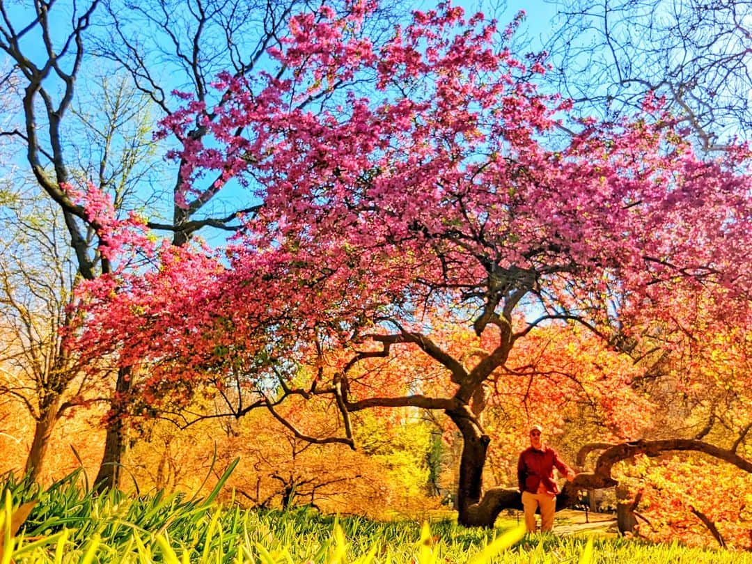 ダン・スティーヴンスさんのインスタグラム写真 - (ダン・スティーヴンスInstagram)「NY, Spring 2022 💚🧡💓💙」4月19日 6時24分 - thatdanstevens