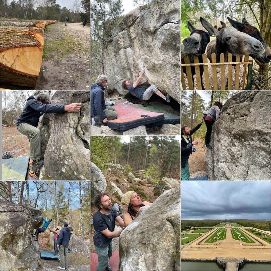 フレッド・二コルさんのインスタグラム写真 - (フレッド・二コルInstagram)「Memories from a short trip to Font. #bouldering #climbing #friends」4月19日 19時09分 - fred_nicole