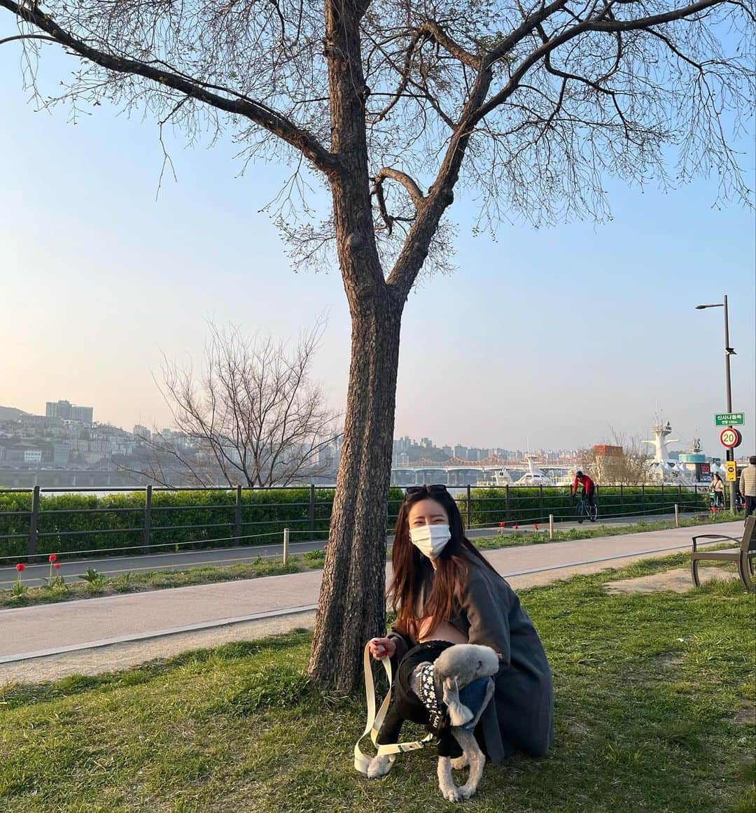 Son Ju Heeさんのインスタグラム写真 - (Son Ju HeeInstagram)「- 아쭈 데리고 나들이 가고싶었는데 한강이라두 와서 짧고 굵게 잘 놀았당🐶💗  #리샵 #나보다힘쎈아쭈랑 #한강나들이」4月19日 19時19分 - juhee__ss
