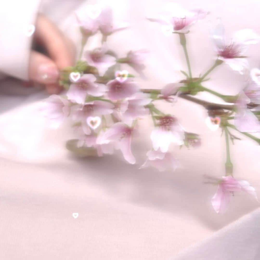 右近心優さんのインスタグラム写真 - (右近心優Instagram)「好きな花は桜です🌸」4月19日 20時03分 - miyu_.0913