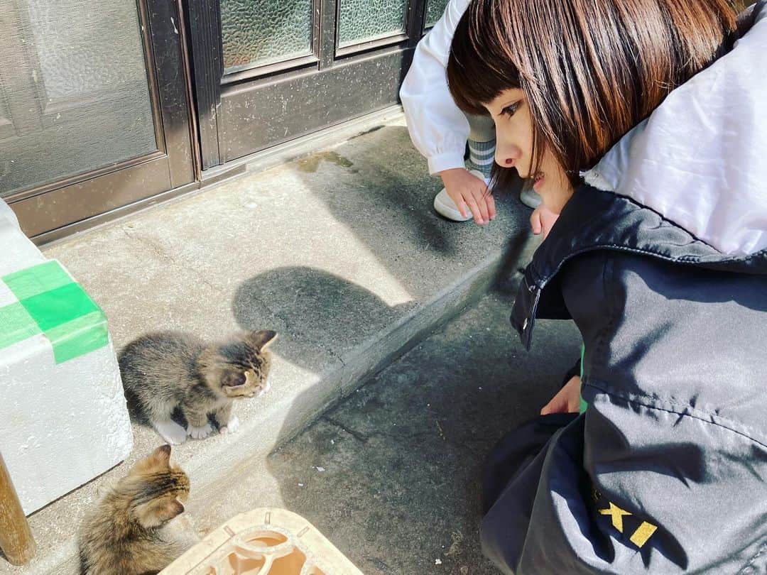 葵わかなのインスタグラム：「🐈🌿🐟 こねこ かわいい〜😍」