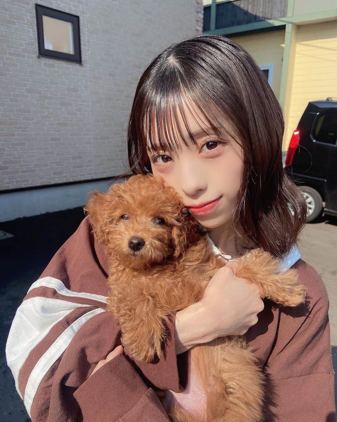 美咲優羽のインスタグラム：「. . .  2匹目の新しい弟くん😉 おはる〜かわい子ちゃんすぎる。。。 連れて帰りたい🥺  ハルトはゆーに似てお母さん大好きマンでずっと引っ付いてて甘えん坊さんです😢ゆーにももっとなついてくれ笑笑！  帰省しておはるともたくさん遊んで大好きな北海道の幸を沢山食べてお出かけしてリフレッシュした分明日からまた頑張るぞ~♨️  会えなくても好きでいてくれた？？😣 早く東京の家族にも会いたいよ！(フィンファミのことです)  この写真ノーマルカメラなんだけど行けてるかな？😣 加工ないのやぱ自信ないかも😭♨️♨️ . . .  #ペット #トイプードル #犬好きな人と繋がりたい #ootd #fr2 #l4likes  #selca #selfie #셀카 #셀카그램 #today #ootd #dailylook #instagood #instalike #instafashion #followme #インスタ映え　#アイドル #japanesegirl #地下アイドル#japaneseidol#japanesegirls #地下アイドル好きな人と繋がりたい」
