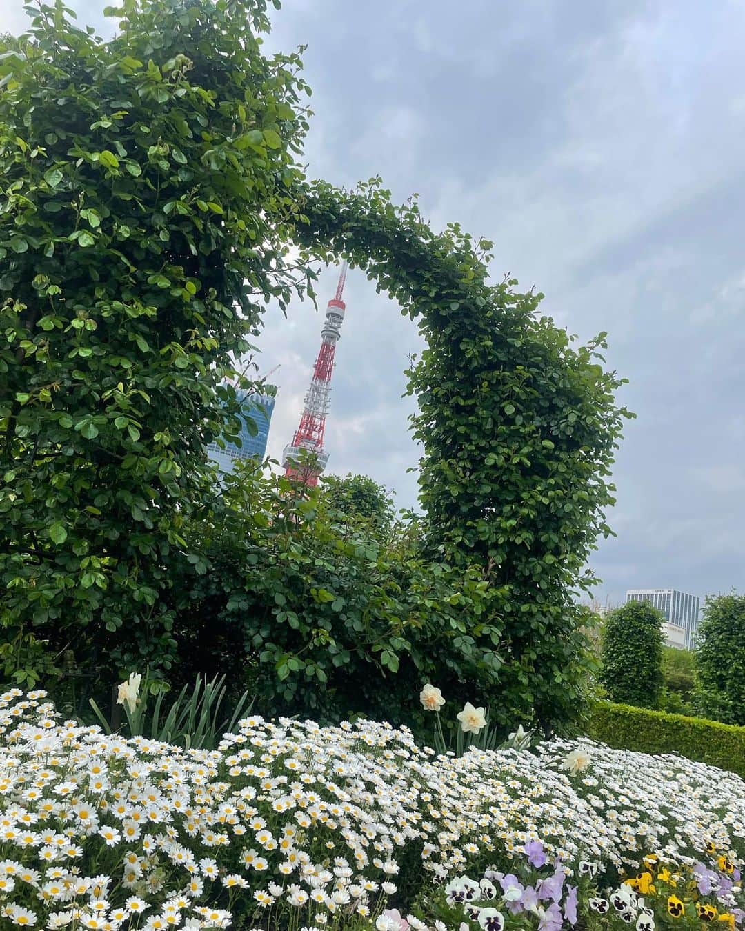 あやつるぽんさんのインスタグラム写真 - (あやつるぽんInstagram)「オーベルジーヌ . . . 四谷本店がまさかの臨時休業 オーベルジーヌしか考えられへんくて 三田店まで行って購入！ じゃがいも美しかった！おいしえええ なんか緑とか東京タワーとか 景色、天気、気候よかったから お散歩 1時間半ほど歩いて LiSA様のデビュー10周年と 364日の日本武道館観に行ってきた いつもかっこよすぎる🔥 新曲NEW MEの歌詞もストレートなLiSA様の言葉でさいこーだった！ 今日もいい日だっ 大好き . . .  #LiSAEB #オーベルジーヌ #カレー #四谷三丁目グルメ #東京カレー #カレーライス #LiSA #日本武道館 #日本武道館ライブ #リサミニ」4月19日 23時42分 - ayatsurupon
