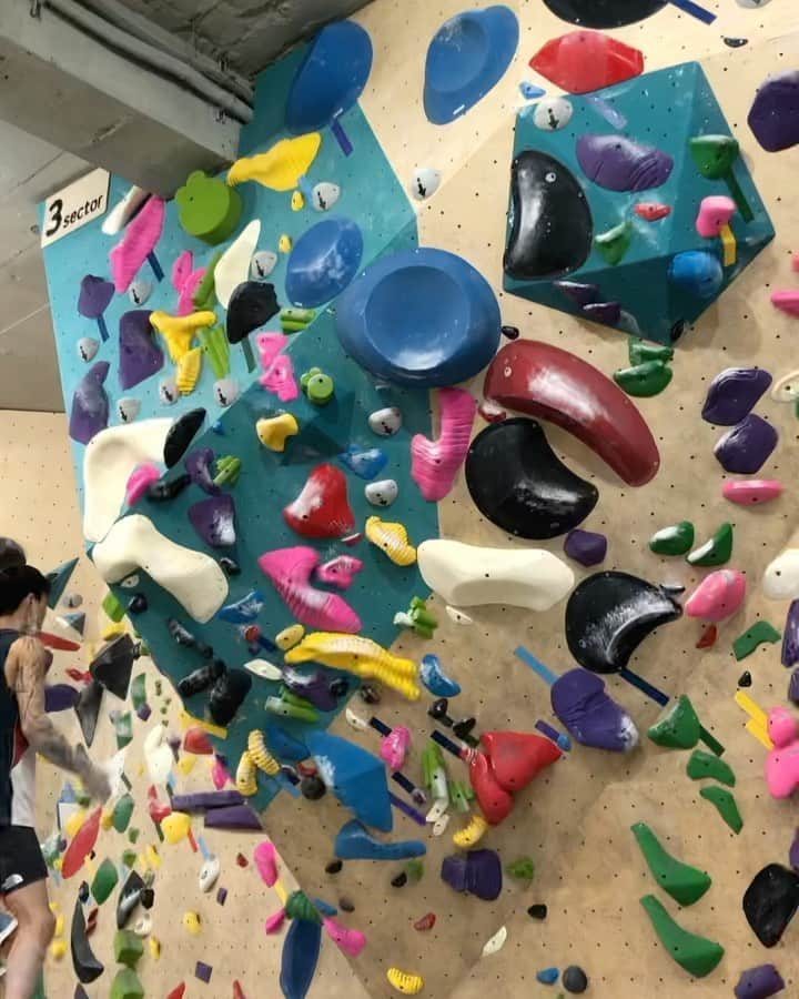 チョン・ジョンウォンのインスタグラム：「Black tape @seoulboulders_seonyu   @thenorthface @thenorthface_kr @lasportiva__korea   #영업전」