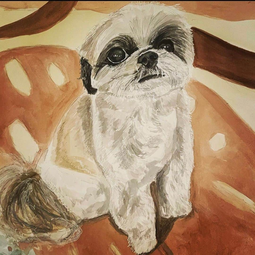 ジム・パーソンズさんのインスタグラム写真 - (ジム・パーソンズInstagram)「Rufus, today you turn 13 years old AND you’re forever captured in this glorious watercolor by @a_dog_a_day_2022 (Todd!) Here’s to many more birthdays and celebratory paintings in your honor…. We love you, sweet boy! ❤️ 🐶 ❤️」4月20日 5時51分 - therealjimparsons