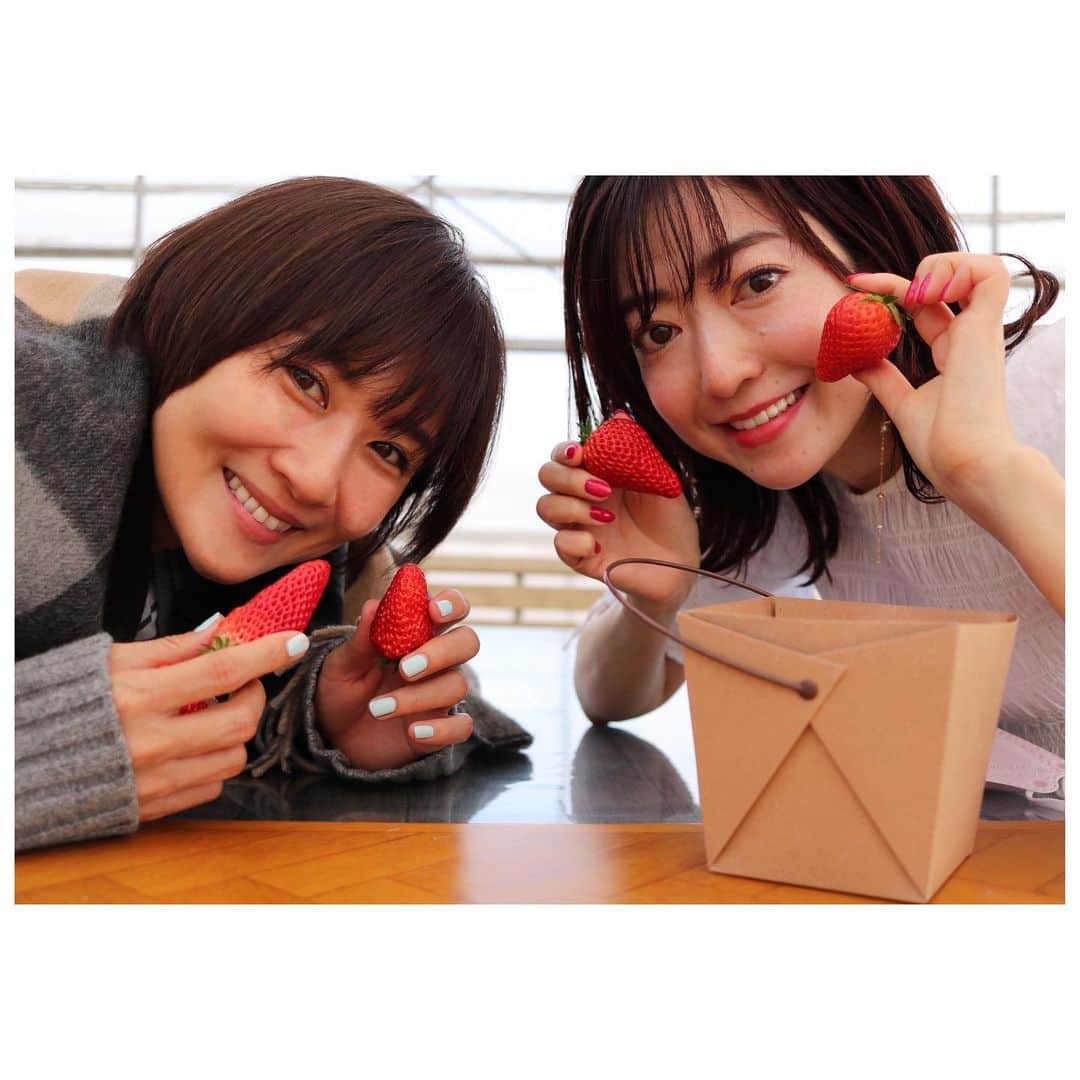 山崎直子のインスタグラム：「少し前に連れて行ってもらった#🍓狩り ・ 数年振りの#いちご狩り は屈まなくても良くて、足元が汚れることもなく、とても綺麗な#農園 で感動✨ ・ #いちご農園 もIoT化し“スマート農業”が進んでいるのだと、進化を目の当たりにしました✨ ・ ・ ・ #飲みもの かと思うくらいに#ジューシー で甘い苺に感動✨スーパーと全然違う🤣#スマート農業 #いちご #苺 #千葉 #chiba #チーバくん #❤️ 気持ちが塞ぐ日々に、明かりをくれてありがとう😊✨」