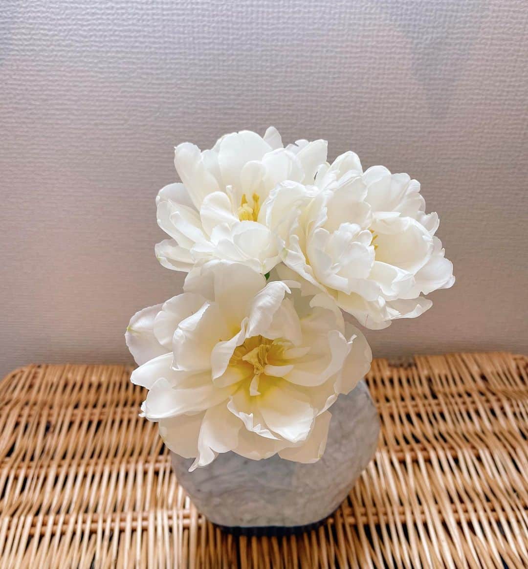 小島梨里杏さんのインスタグラム写真 - (小島梨里杏Instagram)「自分で作った花瓶に 愛する人からもらったお花🐻‍❄️💠🪄  気付けば出逢って12年。  #陶芸  #花瓶」4月20日 23時52分 - r_riria