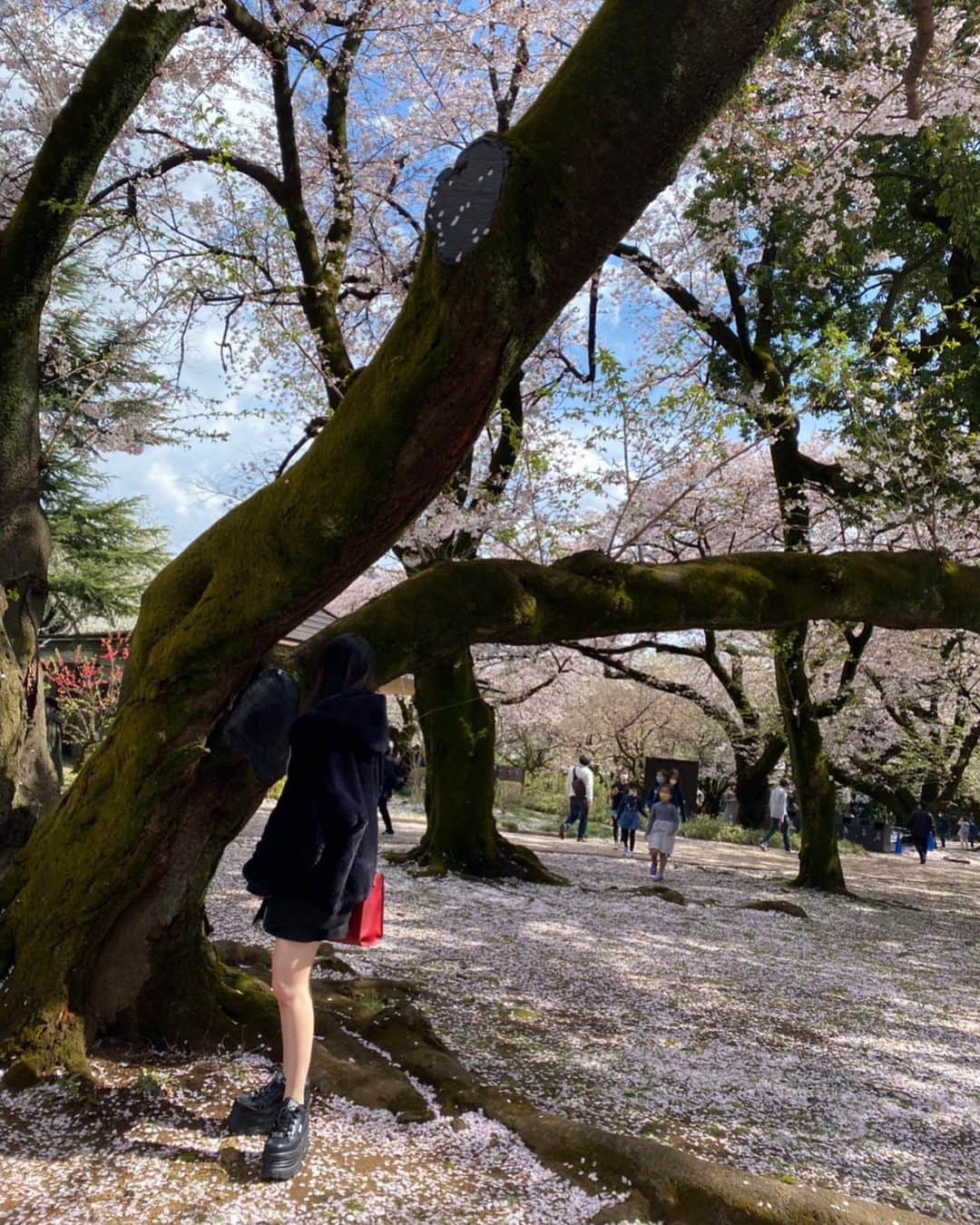 卯花莉央のインスタグラム：「幹に話しかけてた」