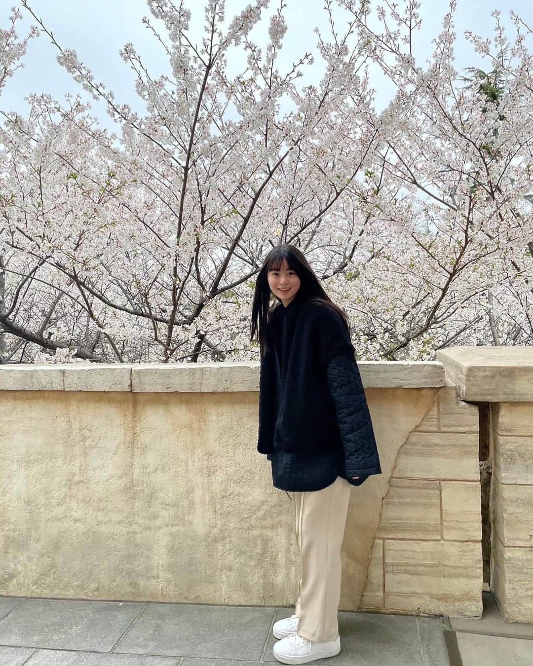 田畑志真のインスタグラム：「桜の季節は終わっちゃいましたが、まだ肌寒かったりで薄着になったり厚着になったりです🙃 最近ウォーキングにハマってます🚶‍♀️ 新学期も始まってゴールデンウィークももうすぐ☺︎ 何をしようか今からワクワクです!!  桜が咲いていた時期の写真です📸」